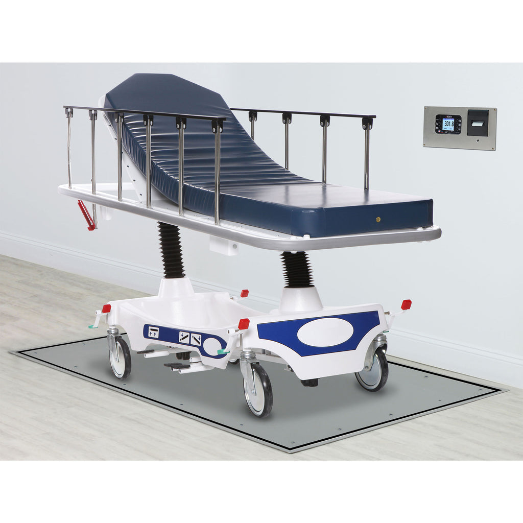 Detecto Solace Series In-Floor Dialysis Scale with Recessed Weight Indicator and Thermal Ticket Printer