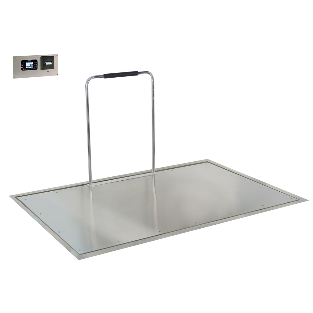Detecto Solace Series In-Floor Dialysis Scale with Recessed Weight Indicator and Thermal Ticket Printer