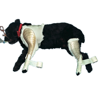 Jorgensen Labs Quick Splint Front Leg