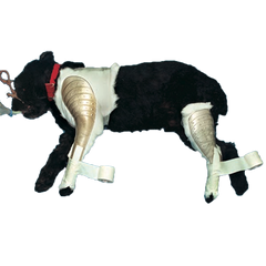 Jorgensen Labs Quick Splint Front Leg