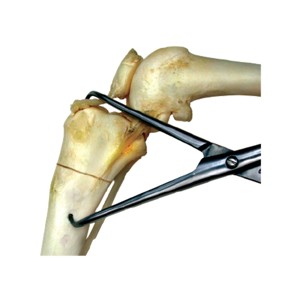 Jorgensen Labs X-Large 8" Fragment Forceps for Orthopedic Bone Fixation