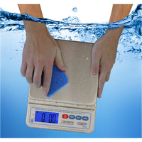Detecto Mariner WPS12 Submersible Portion Scale