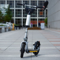 Glion Model X2 Balto Electric Scooter