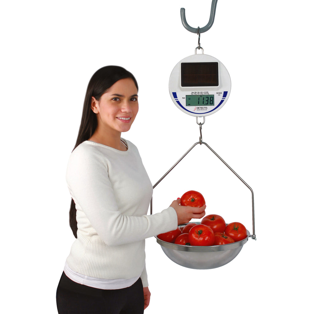 Detecto Digital Solar Hanging Scale with Stainless Steel Pan and Bow | NTEP Legal-for-Trade Battery-Free Commercial Weight System