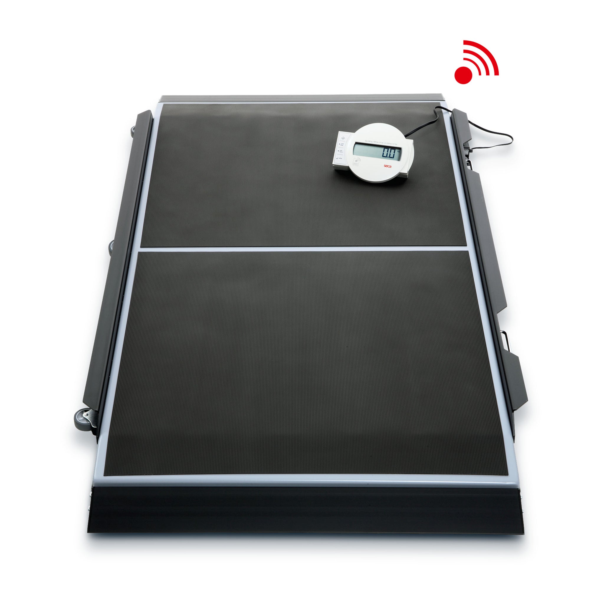 Seca 656 EMR Ready Electronic Platform Scale with Innovative Memory Function