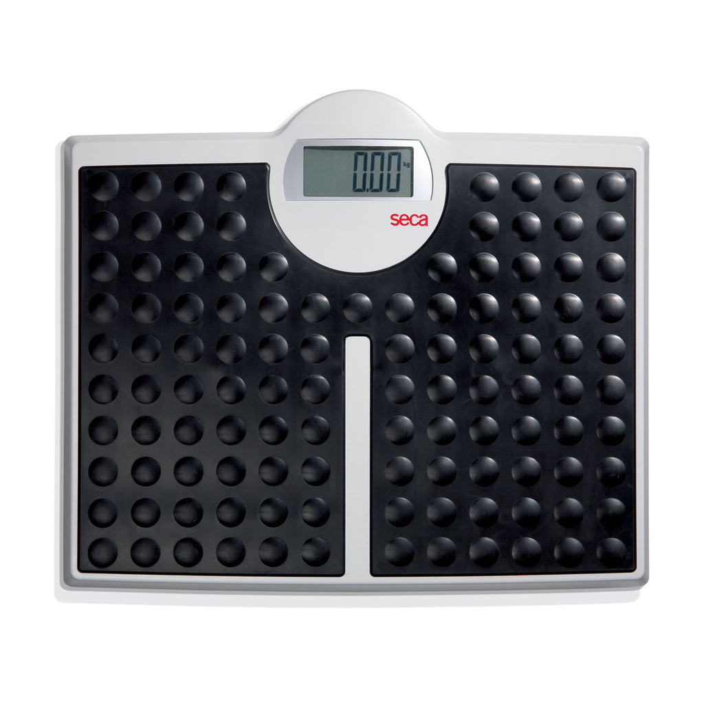 SECA 813 High Capacity Digital Flat Scale for Individual Patient Use