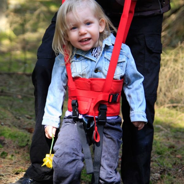 Handicare Walking Belt